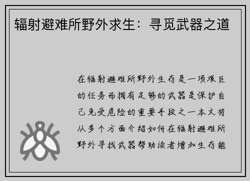 辐射避难所野外求生：寻觅武器之道